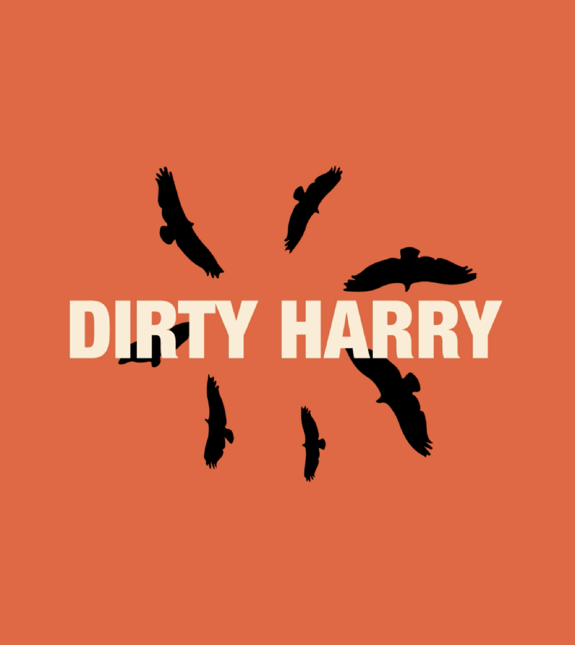 dirty-hairy-thumbnail